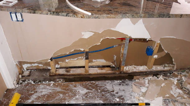 Best Water damage contractors near me  in Duryea, PA