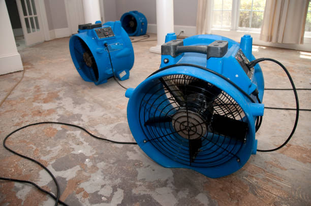 Best 24/7 water damage repair  in Duryea, PA