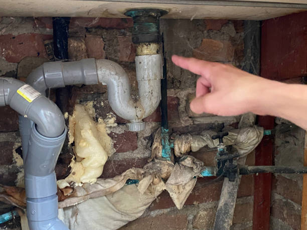 Best Commercial water damage restoration  in Duryea, PA