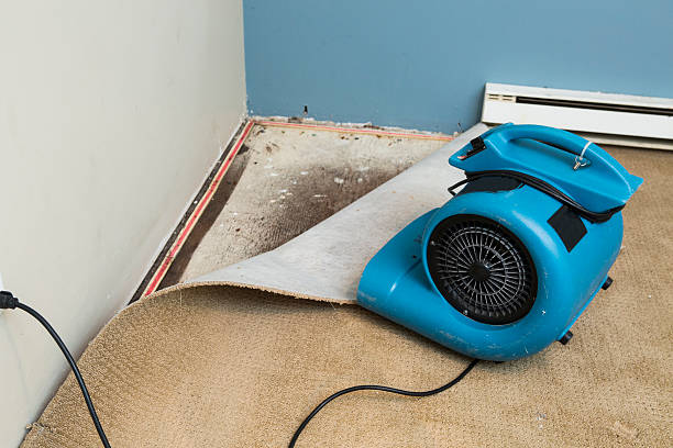 Best Residential water damage restoration  in Duryea, PA