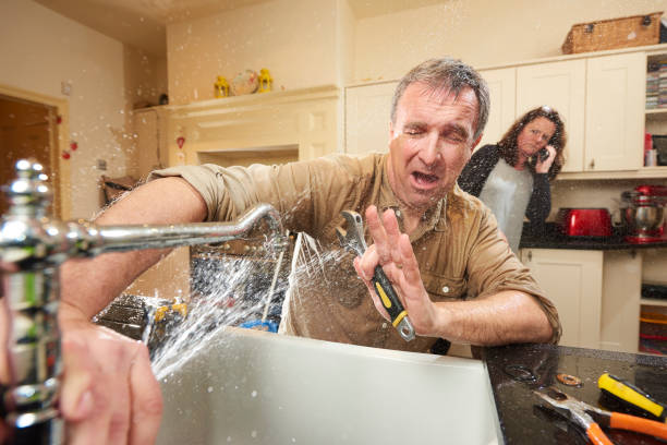 Best Basement water damage restoration  in Duryea, PA